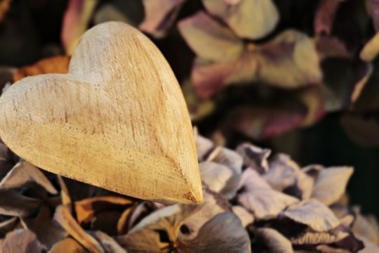gunswood, брянский лес, брянский бренд, доски для подачи, деревянные доски, разделочные доски