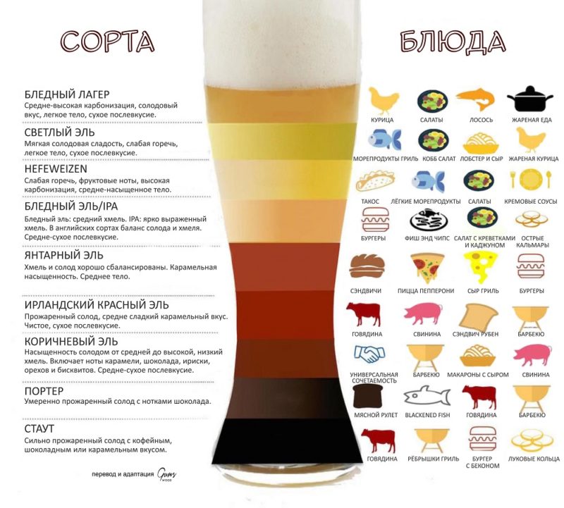 крафтовое пиво, пиво, сорта пива, еда и пиво, еда под пиво, пиво с едой, сочетаемость пива